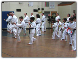 2008 visit by Grand Master Eizo Shimabukuro