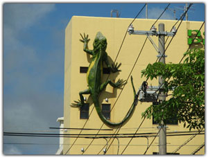 Apartment building with a Lizard